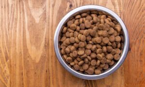 Гипоаллергенный корм для собак Alleva Low Grain. Обзор